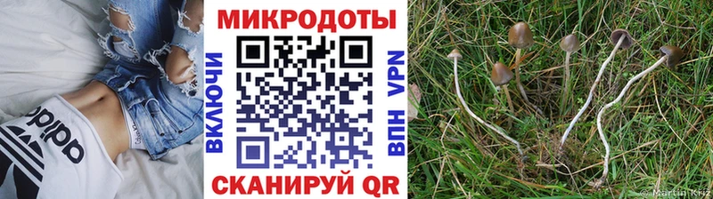 Псилоцибиновые грибы мухоморы Шелехов